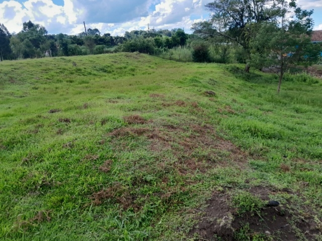 Venda de Lote/Terreno no Distrito  São Miguel da Serra, - Porto União - Santa Catarina-SC - Digital Imóveis