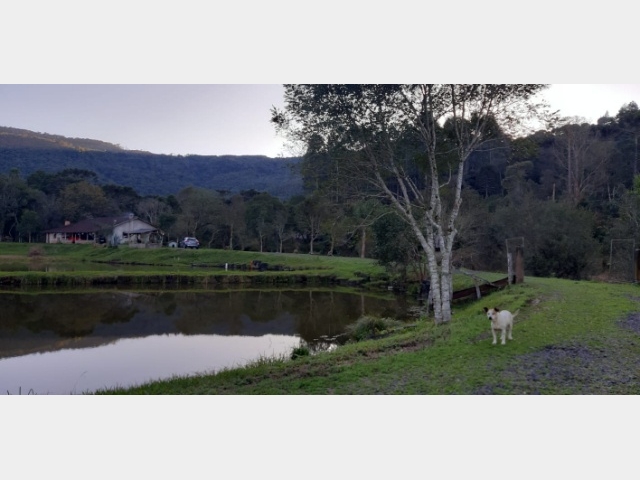 Venda de Fazenda/Sítio no Nossa Sra. das Graças - União da Vitória - Paraná-PR - Digital Imóveis