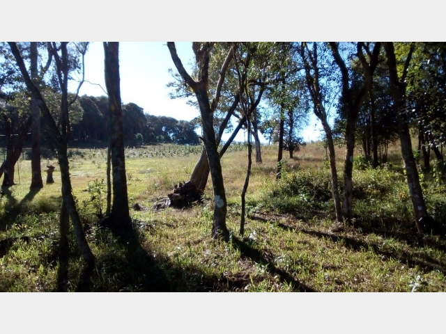 Venda de Fazenda/Sítio no Guará - Guarapuava - Paraná-PR - Digital Imóveis