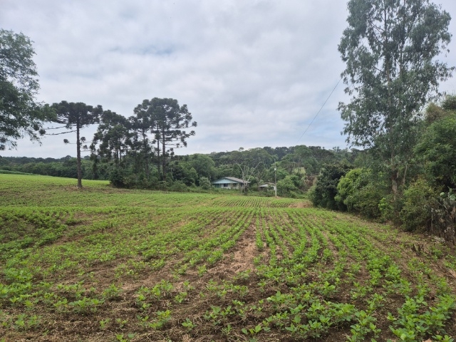 Venda de Fazenda/Sítio no  - União da Vitória - Paraná-PR - Digital Imóveis