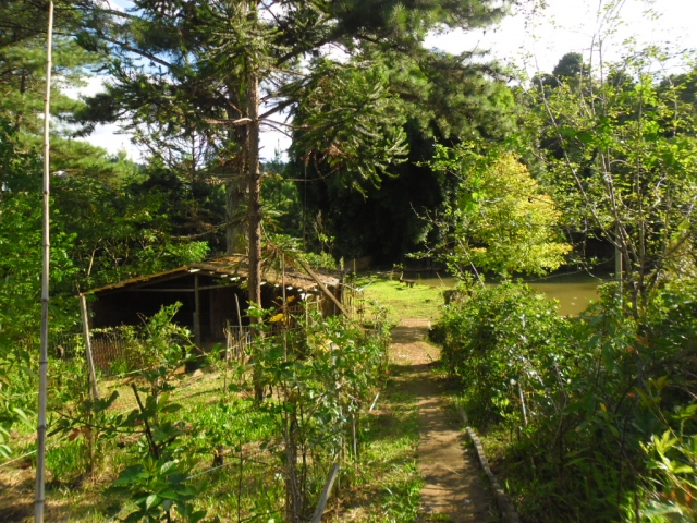 Venda de Fazenda/Sítio no Bela Vista - Porto União - Santa Catarina-SC - Digital Imóveis