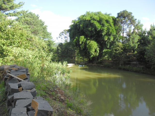 Venda de Fazenda/Sítio no Bela Vista - Porto União - Santa Catarina-SC - Digital Imóveis