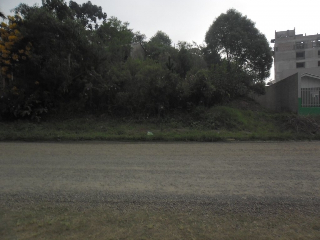 Venda de Lote/Terreno no Nossa Senhora do Rocio - União da Vitória - Paraná-PR - Digital Imóveis