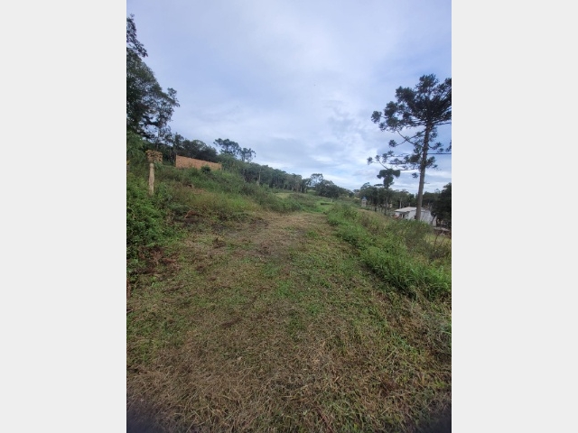 Venda de Lote/Terreno no Colonia Correntes - União da Vitória - Paraná-PR - Digital Imóveis
