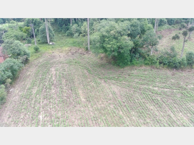 Venda de Fazenda/Sítio no  - União da Vitória - Paraná-PR - Digital Imóveis