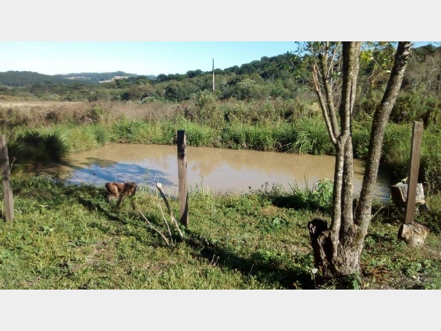 Venda de Fazenda/Sítio no Guará - Guarapuava - Paraná-PR - Digital Imóveis