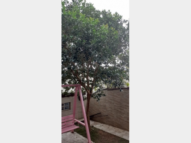Venda de Sobrado no Centro - Porto União - Santa Catarina-SC - Digital Imóveis