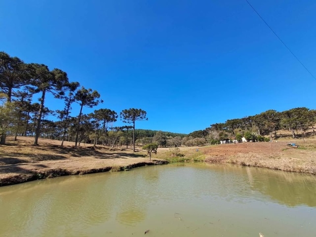 Venda de Fazenda/Sítio no  - União da Vitória - Paraná-PR - Digital Imóveis
