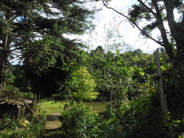 Venda de Fazenda/Sítio no Bela Vista - Porto União - Santa Catarina-SC - Digital Imóveis