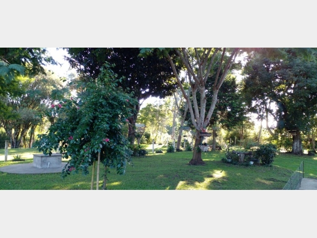 Venda de Fazenda/Sítio no  - Paula Freitas - Paraná-PR - Digital Imóveis