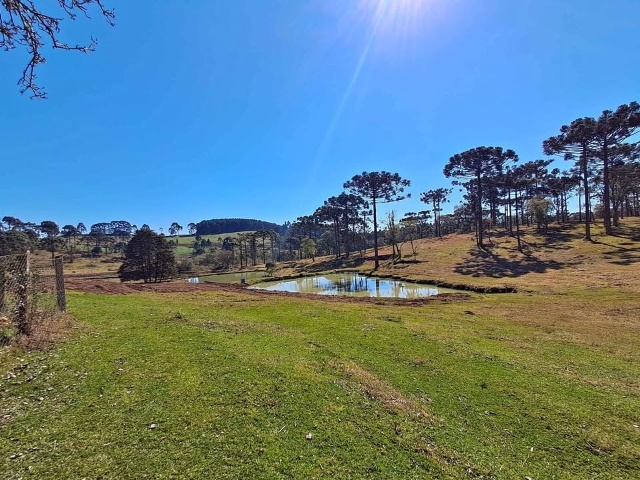 Venda de Fazenda/Sítio no  - União da Vitória - Paraná-PR - Digital Imóveis