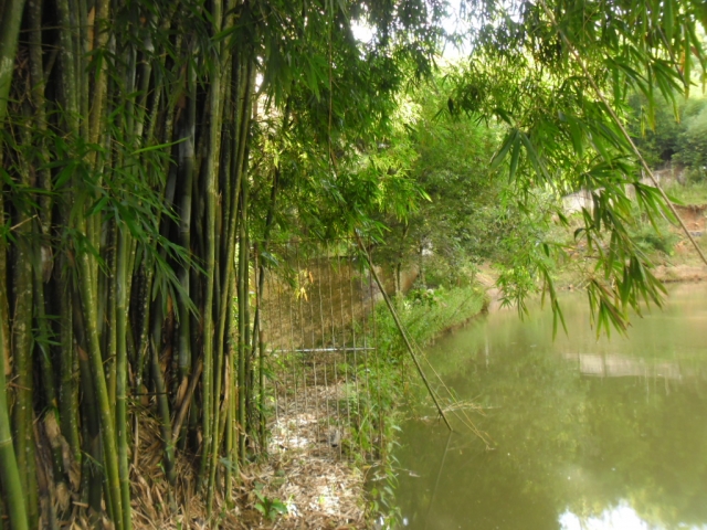 Venda de Fazenda/Sítio no Bela Vista - Porto União - Santa Catarina-SC - Digital Imóveis