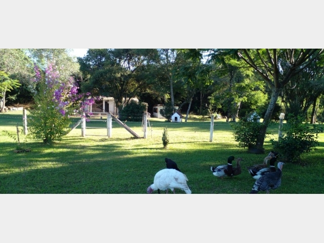 Venda de Fazenda/Sítio no  - Paula Freitas - Paraná-PR - Digital Imóveis