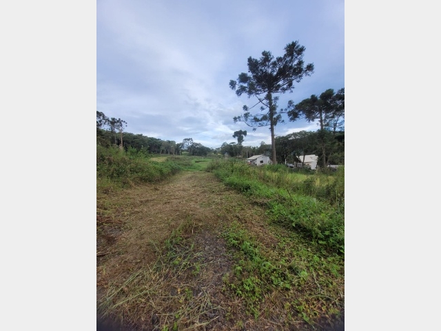 Venda de Lote/Terreno no Colonia Correntes - União da Vitória - Paraná-PR - Digital Imóveis