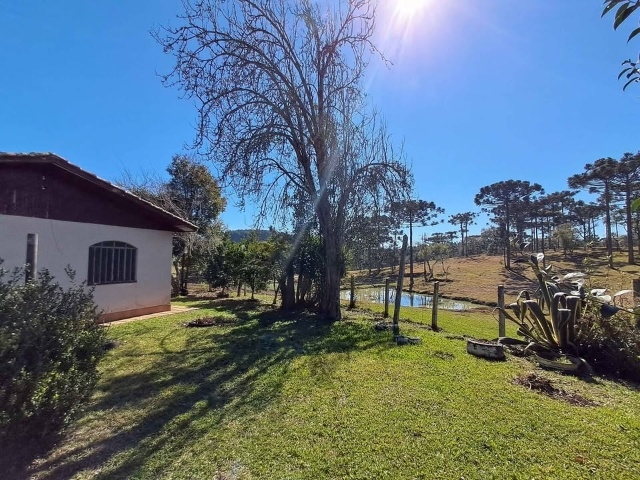 Venda de Fazenda/Sítio no  - União da Vitória - Paraná-PR - Digital Imóveis