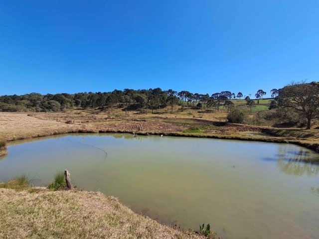 Venda de Fazenda/Sítio no  - União da Vitória - Paraná-PR - Digital Imóveis
