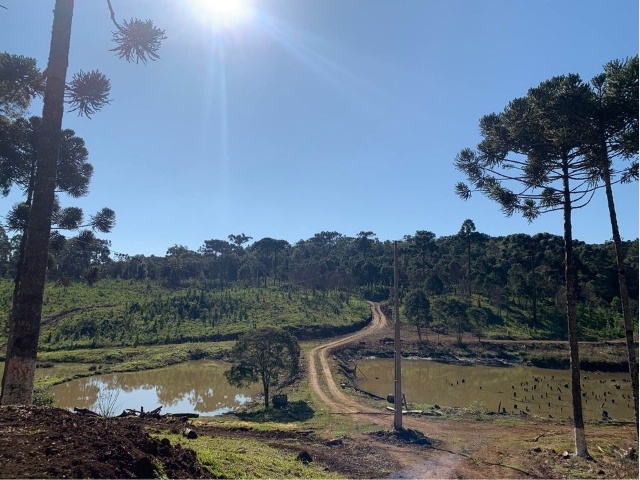 Venda de Fazenda/Sítio no  - União da Vitória - Paraná-PR - Digital Imóveis