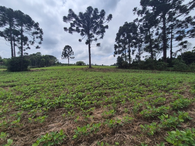 Venda de Fazenda/Sítio no  - União da Vitória - Paraná-PR - Digital Imóveis