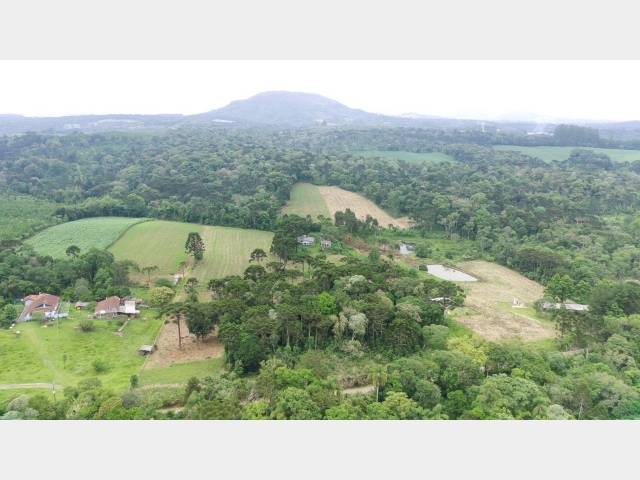 Venda de Fazenda/Sítio no  - União da Vitória - Paraná-PR - Digital Imóveis