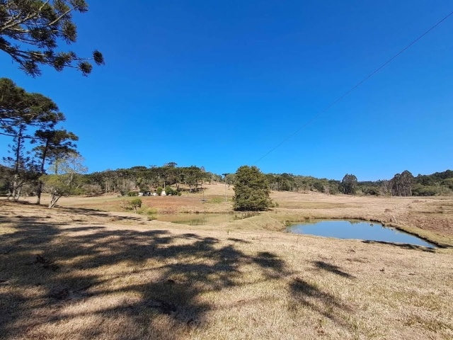 Venda de Fazenda/Sítio no  - União da Vitória - Paraná-PR - Digital Imóveis