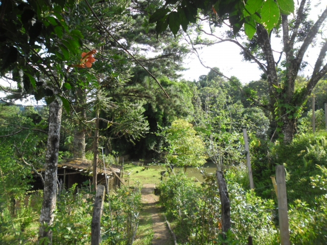 Venda de Fazenda/Sítio no Bela Vista - Porto União - Santa Catarina-SC - Digital Imóveis