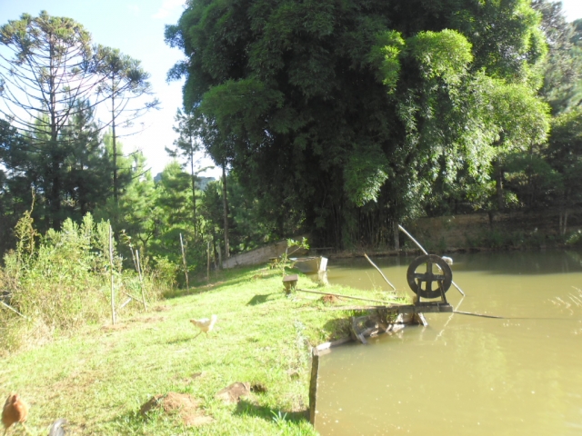 Venda de Fazenda/Sítio no Bela Vista - Porto União - Santa Catarina-SC - Digital Imóveis