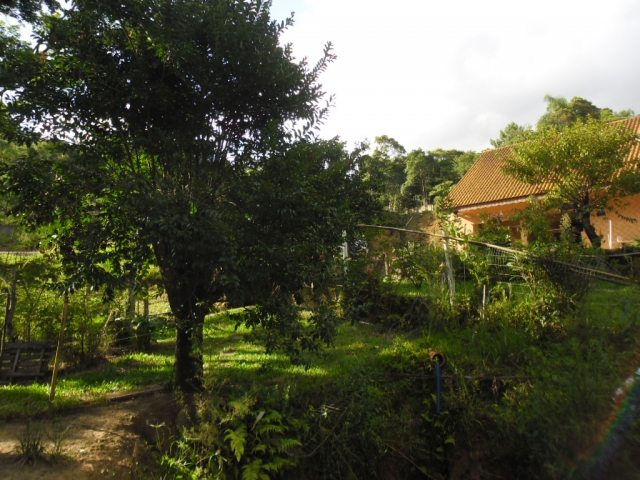 Venda de Fazenda/Sítio no Bela Vista - Porto União - Santa Catarina-SC - Digital Imóveis