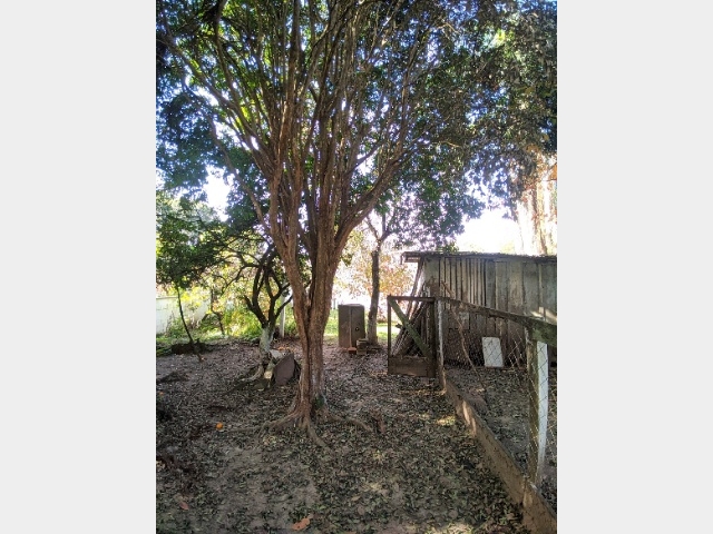 Venda de Casa no Sagrada Família - União da Vitória - Paraná-PR - Digital Imóveis