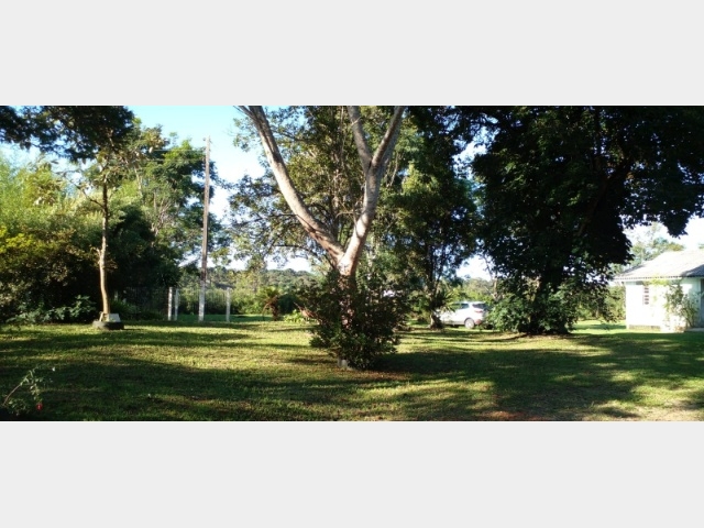 Venda de Fazenda/Sítio no  - Paula Freitas - Paraná-PR - Digital Imóveis