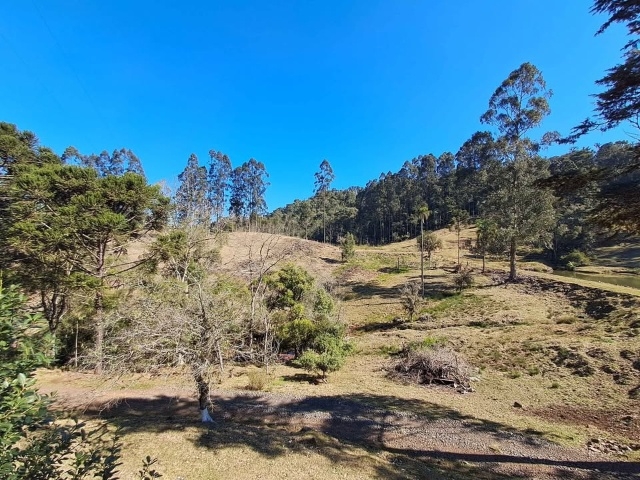 Venda de Fazenda/Sítio no  - União da Vitória - Paraná-PR - Digital Imóveis