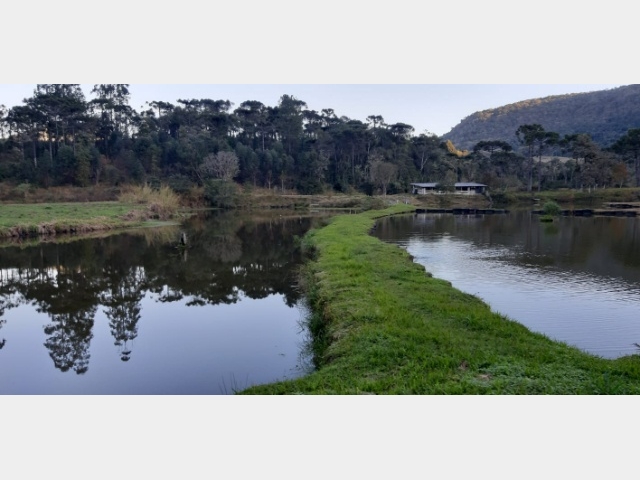 Venda de Fazenda/Sítio no Nossa Sra. das Graças - União da Vitória - Paraná-PR - Digital Imóveis