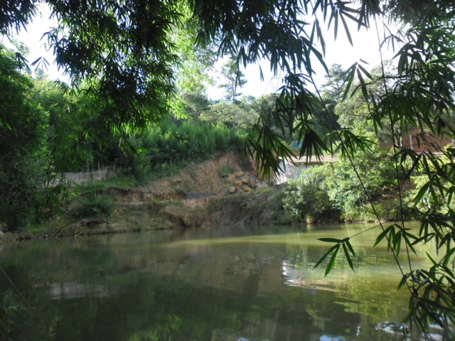 Venda de Fazenda/Sítio no Bela Vista - Porto União - Santa Catarina-SC - Digital Imóveis