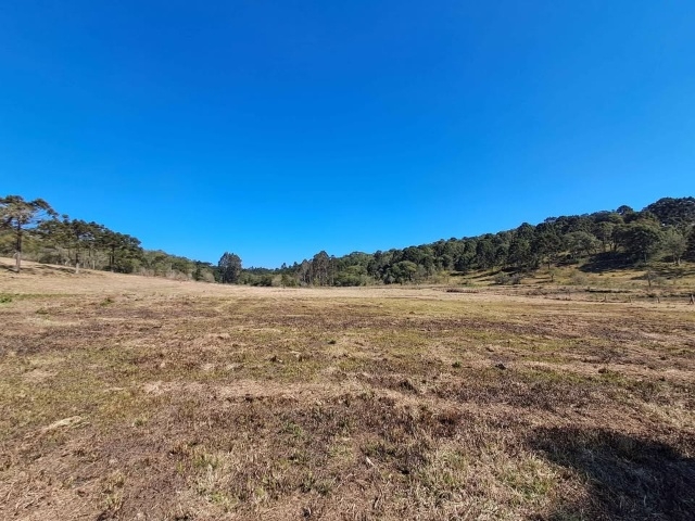 Venda de Fazenda/Sítio no  - União da Vitória - Paraná-PR - Digital Imóveis