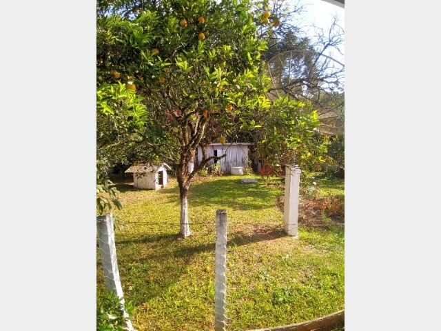 Venda de Casa no Sagrada Família - União da Vitória - Paraná-PR - Digital Imóveis