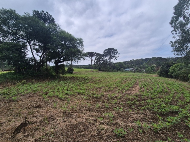 Venda de Fazenda/Sítio no  - União da Vitória - Paraná-PR - Digital Imóveis