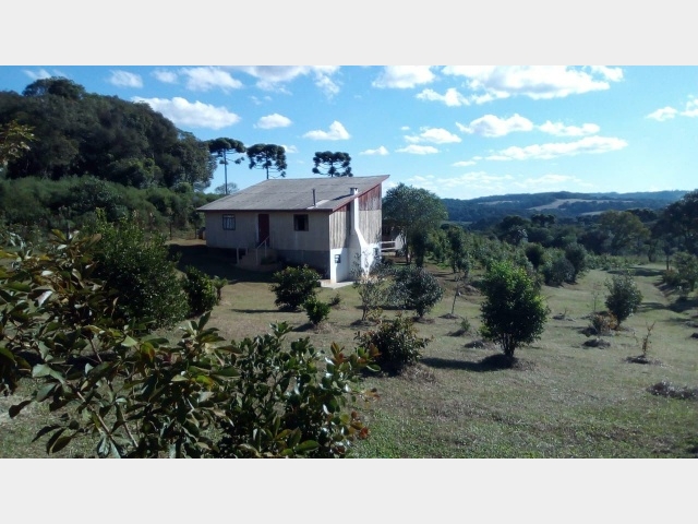 Venda de Fazenda/Sítio no Guará - Guarapuava - Paraná-PR - Digital Imóveis