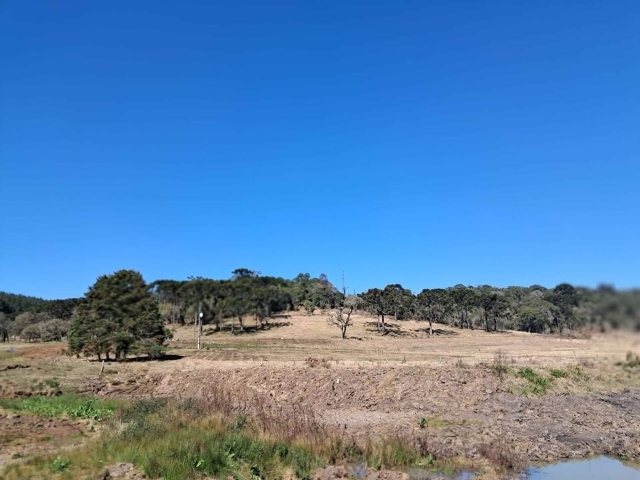 Venda de Fazenda/Sítio no  - União da Vitória - Paraná-PR - Digital Imóveis
