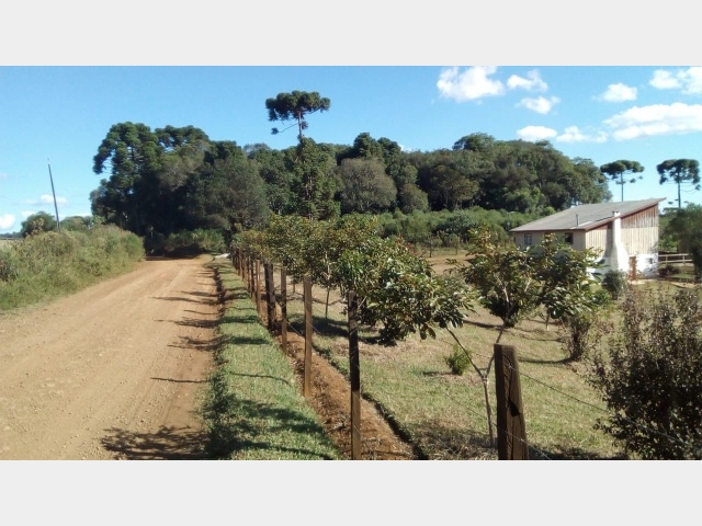 Venda de Fazenda/Sítio no Guará - Guarapuava - Paraná-PR - Digital Imóveis