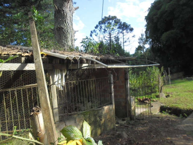 Venda de Fazenda/Sítio no Bela Vista - Porto União - Santa Catarina-SC - Digital Imóveis