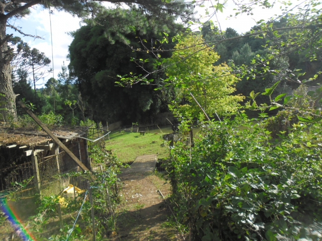 Venda de Fazenda/Sítio no Bela Vista - Porto União - Santa Catarina-SC - Digital Imóveis