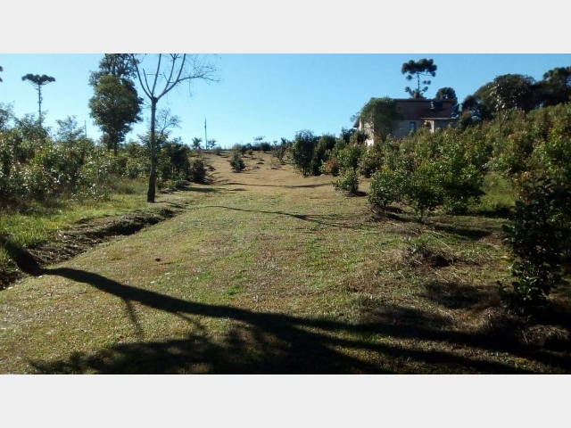 Venda de Fazenda/Sítio no Guará - Guarapuava - Paraná-PR - Digital Imóveis