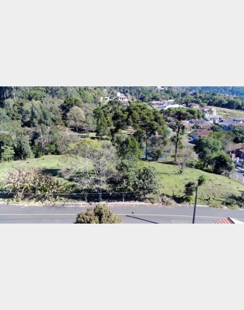 ESTAÇÃO IMOVEIS / PLANTÃO FINAL DE SEMANA - Digital Imóveis